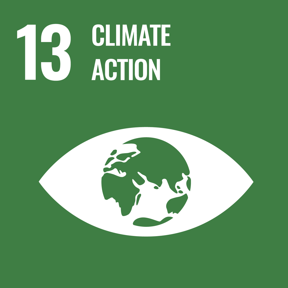 UN Sustainability Label 13 - Climate Action.